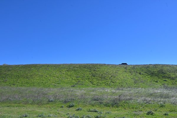 BIG SKY - SCOUTED.136