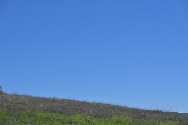 BIG SKY - SCOUTED.121