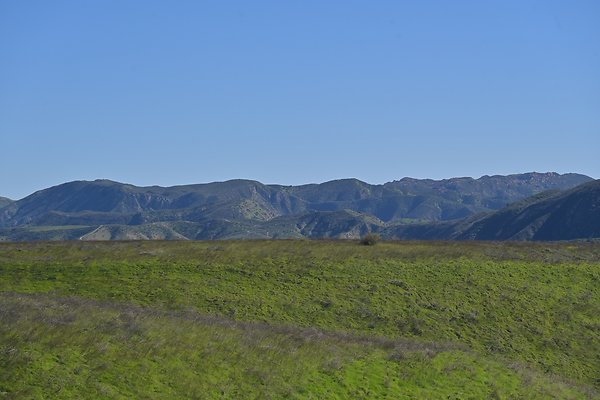 BIG SKY - SCOUTED.88
