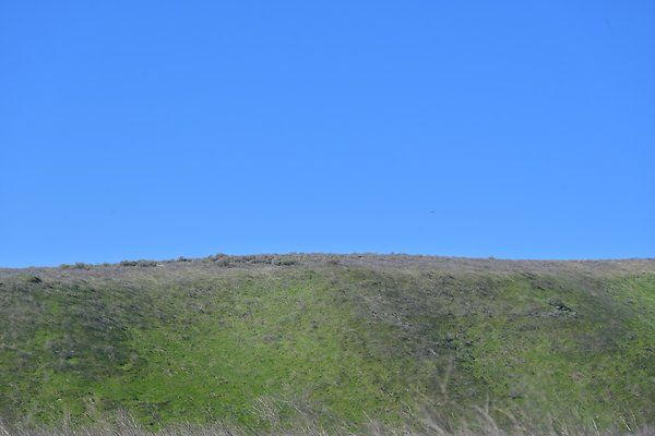 BIG SKY - SCOUTED.8 BIG SKY - SCOUTED.8