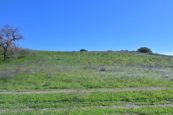 BIG SKY - SCOUTED.152
