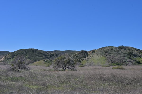 BIG SKY - SCOUTED.113