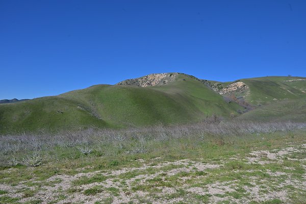 BIG SKY - SCOUTED.95