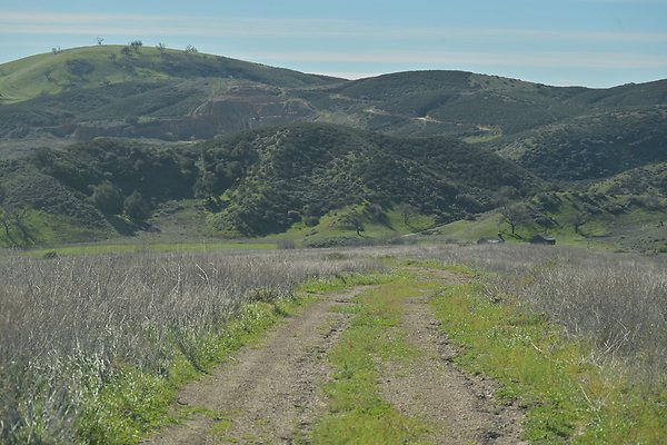 BIG SKY - SCOUTED.98