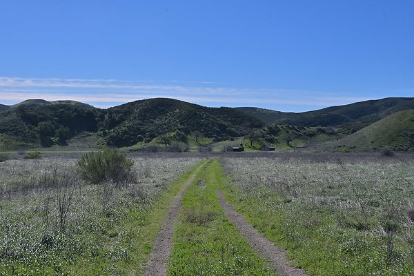 BIG SKY - SCOUTED.161