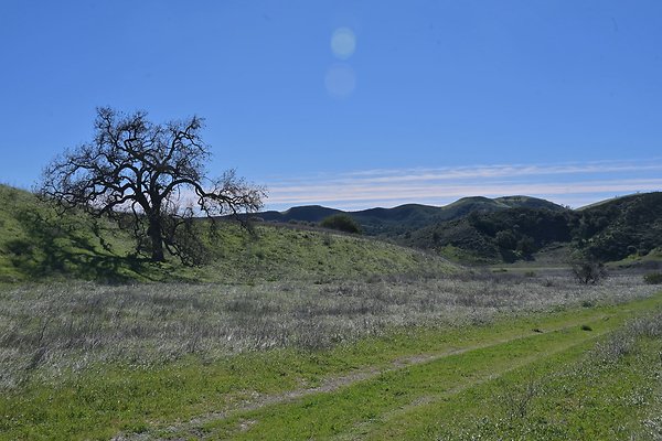 BIG SKY - SCOUTED.129