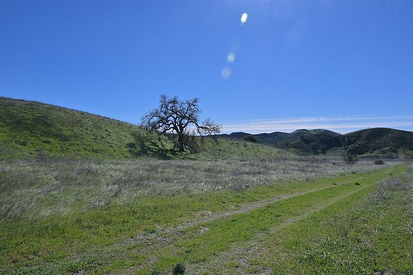 BIG SKY - SCOUTED.130