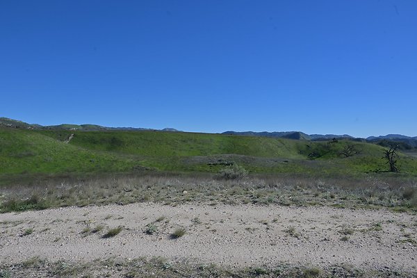 BIG SKY - SCOUTED.25 BIG SKY - SCOUTED.25