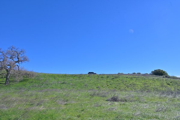 BIG SKY - SCOUTED.156