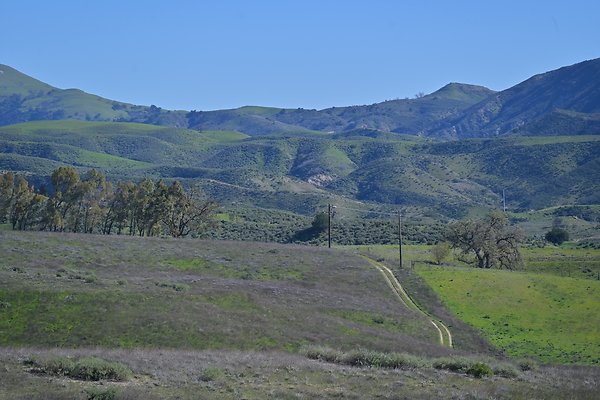 BIG SKY - SCOUTED.109