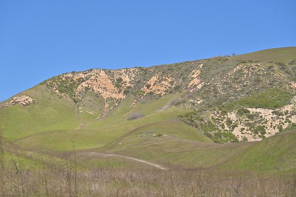 BIG SKY - SCOUTED.170