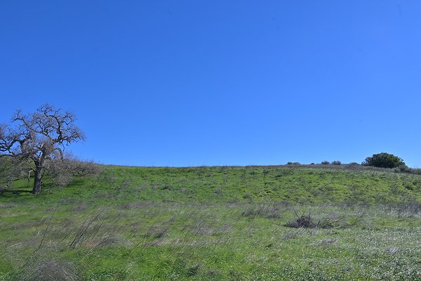 BIG SKY - SCOUTED.148