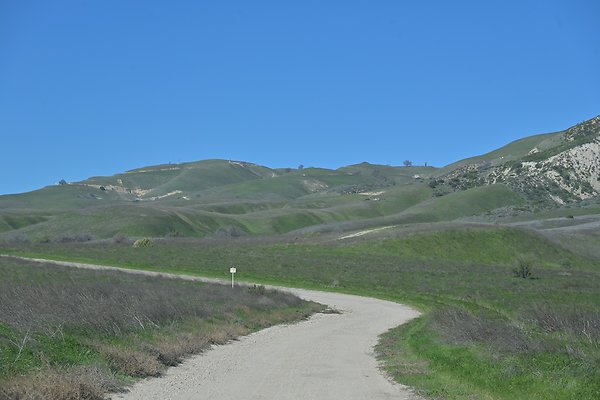 BIG SKY - SCOUTED.15 BIG SKY - SCOUTED.15