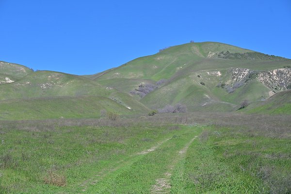 BIG SKY - SCOUTED.160