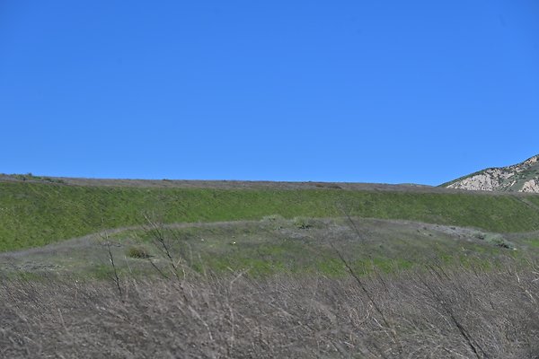 BIG SKY - SCOUTED.11 BIG SKY - SCOUTED.11