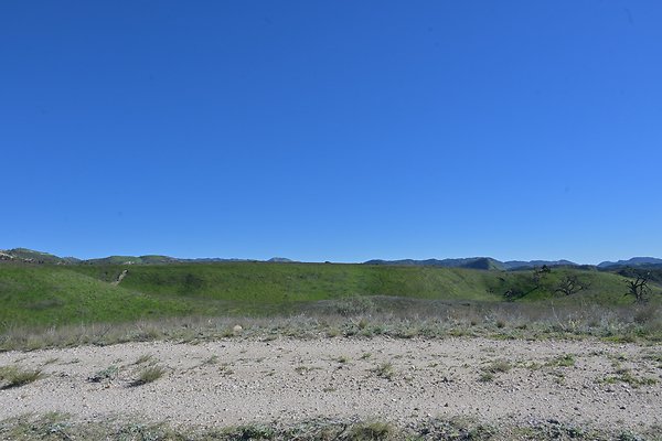 BIG SKY - SCOUTED.55 BIG SKY - SCOUTED.55
