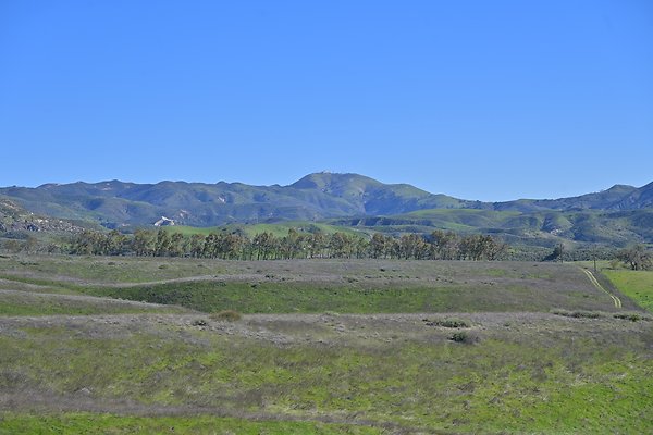 BIG SKY - SCOUTED.110