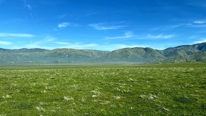 IMG E6252 IMG E6252