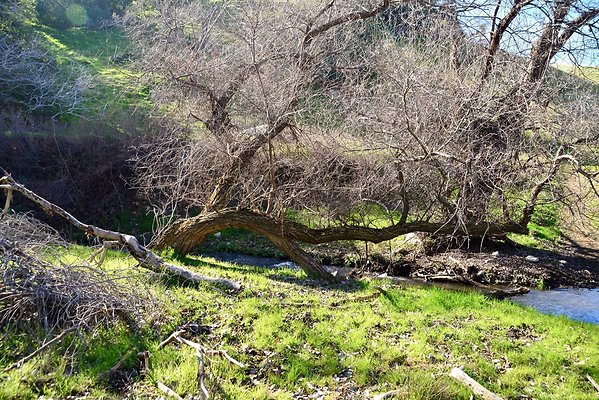 CREEK CROSSING NORTH